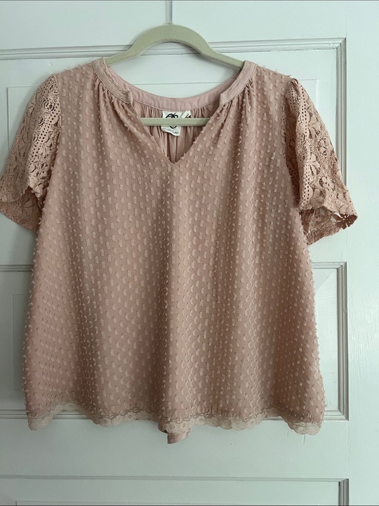 Tops - Women's Blush Pink Swiss Dot Lace Sleeve Top